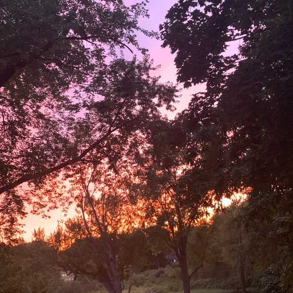 Meet your Posher, Maddie. Make an offer!! 💕😍😻 - Picture 2 of 7